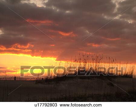 St. Augustine, FL, Florida, Anastasia Island, Anastasia State Park, Atlantic Ocean, dunes on the beach at sunrise View Large Photo Image Stock Image - St. Augustine, FL, Florida, Anastasia Island, Anastasia State Park, Atlantic Ocean, dunes on the beach at sunrise. Fotosearch