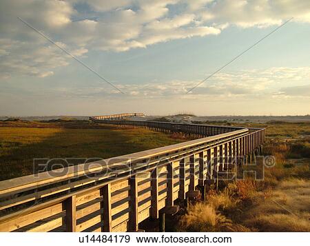 St. Augustine, FL, Florida, Anastasia Island, Anastasia State Park, Atlantic Ocean, boardwalk crosses over the dunes on the beach at sunrise View Large Photo Image Stock Photo - St. Augustine, FL, Florida, Anastasia Island, Anastasia State Park, Atlantic Ocean, boardwalk crosses over the dunes on the beach at sunrise. Fotosearch
