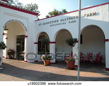 Stock Photo -  St. Augustine, FL, Florida, Anastasia Island, Saint Augustine Alligator Farm, Zoological Park. Fotosearch