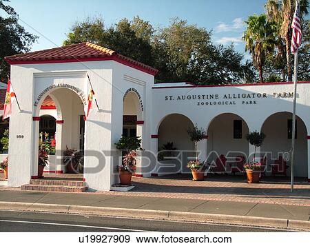 St. Augustine, FL, Florida, Anastasia Island, Saint Augustine Alligator Farm, Zoological Park View Large Photo Image Stock Photo - St. Augustine, FL, Florida, Anastasia Island, Saint Augustine Alligator Farm, Zoological Park. Fotosearch