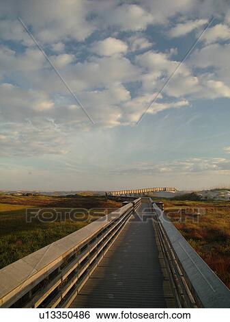 St. Augustine, FL, Florida, Anastasia Island, Anastasia State Park, Atlantic Ocean, boardwalk crosses over the dunes on the beach at sunrise View Large Photo Image Stock Photograph - St. Augustine, FL, Florida, Anastasia Island, Anastasia State Park, Atlantic Ocean, boardwalk crosses over the dunes on the beach at sunrise. Fotosearch