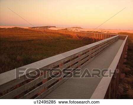 St. Augustine, FL, Florida, Anastasia Island, Anastasia State Park, Atlantic Ocean, boardwalk crosses over the dunes on the beach at sunrise View Large Photo Image Stock Photography - St. Augustine, FL, Florida, Anastasia Island, Anastasia State Park, Atlantic Ocean, boardwalk crosses over the dunes on the beach at sunrise. Fotosearch