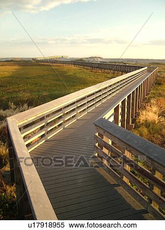 Stock Photography -  St. Augustine, FL, Florida, Anastasia Island, Anastasia State Park, Atlantic Ocean, boardwalk crosses over the dunes on the beach at sunrise. Fotosearch