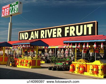 St. Augustine, FL, Florida, Interstate Exchange Fruit Stand, Indian River Fruit, Oranges and grapefruit for sale at fruit market View Large Photo Image Stock Photo - St. Augustine, FL, Florida, Interstate Exchange Fruit Stand, Indian River Fruit, Oranges and grapefruit for sale at fruit market. Fotosearch