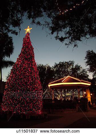 St. Augustine, FL, Florida, The Old City, Plaza de la Constitucion decorated for the Christmas holidays, evening View Large Photo Image Stock Photo - St. Augustine, FL, Florida, The Old City, Plaza de la Constitucion decorated for the Christmas holidays, evening. Fotosearch