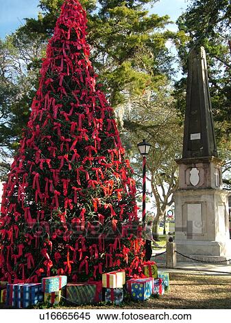 St. Augustine, FL, Florida, The Old City, Plaza de la Constitucion, Christmas Tree View Large Photo Image Stock Photography - St. Augustine, FL, Florida, The Old City, Plaza de la Constitucion, Christmas Tree. Fotosearch