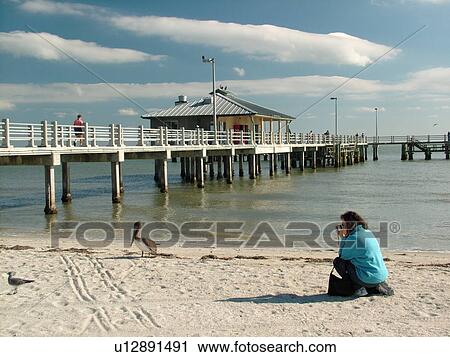 St. Petersburg, FL, Florida, Fort De Soto Park, Tampa Bay, Mullet Key, Gulf Coast Beaches, pier, woman taking picture of a brown pelican on the beach View Large Photo Image Stock Image - St. Petersburg, FL, Florida, Fort De Soto Park, Tampa Bay, Mullet Key, Gulf Coast Beaches, pier, woman taking picture of a brown pelican on the beach. Fotosearch