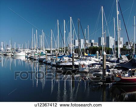 St. Petersburg, FL, Florida, Tampa Bay, Bayboro harbors, Harborage Marina View Large Photo Image Stock Image - St. Petersburg, FL, Florida, Tampa Bay, Bayboro harbors, Harborage Marina. Fotosearch