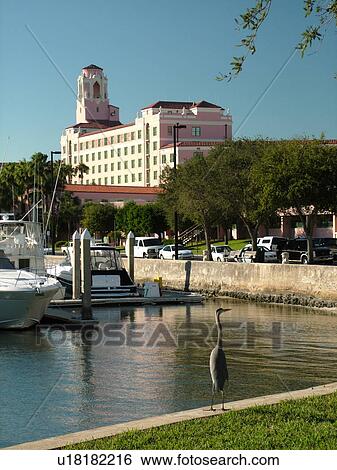 St. Petersburg, FL, Florida, Tampa Bay, Renaissance Vinoy Resort Marina, North Yacht Basin, Blue Heron View Large Photo Image Stock Photograph - St. Petersburg, FL, Florida, Tampa Bay, Renaissance Vinoy Resort Marina, North Yacht Basin, Blue Heron. Fotosearch