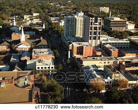 Tallahassee, FL, Florida, aerial, North view from the observation deck of the New State Capitol Building View Large Photo Image Stock Image - Tallahassee, FL, Florida, aerial, North view from the observation deck of the New State Capitol Building. Fotosearch