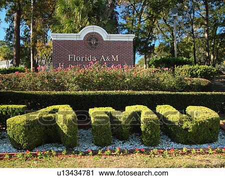 Stock Image -  Tallahassee, FL, Florida, FAMU, Florida A & M University, Agricultural and Mechanical School, entrance, sign. Fotosearch