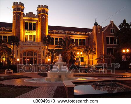 Tallahassee, FL, Florida, FSU, Florida State University, Westcott Building, Diamond Auditorium, fountain, Westcott Plaza, evening View Large Photo Image Stock Image - Tallahassee, FL, Florida, FSU, Florida State University, Westcott Building, Diamond Auditorium, fountain, Westcott Plaza, evening. Fotosearch