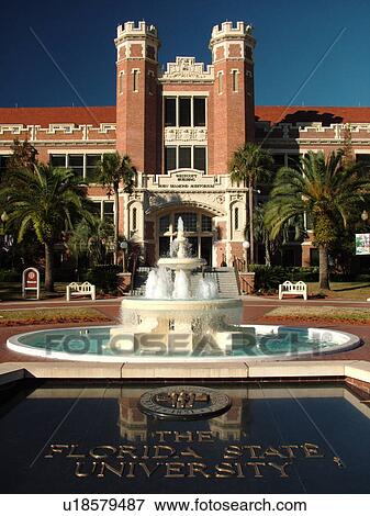 Tallahassee, FL, Florida, FSU, Florida State University, Westcott Building, Diamond Auditorium, fountain, Westcott Plaza View Large Photo Image Stock Photo - Tallahassee, FL, Florida, FSU, Florida State University, Westcott Building, Diamond Auditorium, fountain, Westcott Plaza. Fotosearch