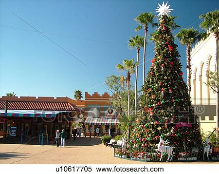 Tampa, FL, Florida, Tampa Bay, Busch Gardens Tampa Bay, African-Themed Park, Christmas Tree View Large Photo Image Stock Photography - Tampa, FL, Florida, Tampa Bay, Busch Gardens Tampa Bay, African-Themed Park, Christmas Tree. Fotosearch