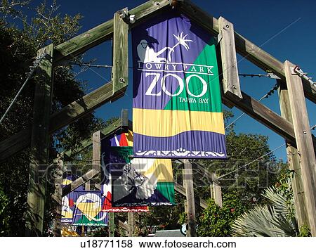 Tampa, FL, Florida, Tampa Bay, Lowry Park Zoo View Large Photo Image Stock Photo - Tampa, FL, Florida, Tampa Bay, Lowry Park Zoo. Fotosearch
