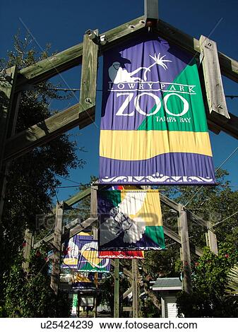 Stock Photo -  Tampa, FL, Florida, Tampa Bay, Lowry Park Zoo. Fotosearch