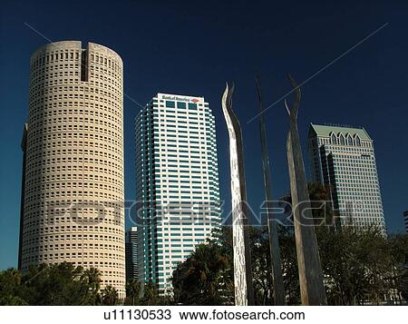 Stock Image -  Tampa, FL, Florida, Tampa Bay, downtown skyline, from Plant Park. Fotosearch