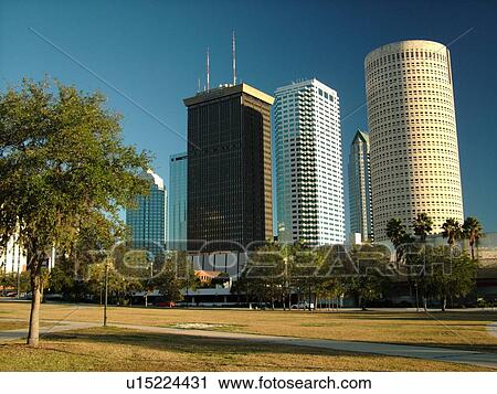 Tampa, FL, Florida, Tampa Bay, downtown skyline, from Curtis Hixon Park View Large Photo Image Stock Image - Tampa, FL, Florida, Tampa Bay, downtown skyline, from Curtis Hixon Park. Fotosearch