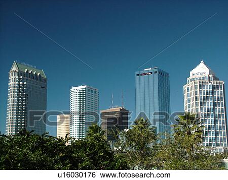 Tampa, FL, Florida, Tampa Bay, downtown, skyline View Large Photo Image Stock Photograph - Tampa, FL, Florida, Tampa Bay, downtown, skyline. Fotosearch