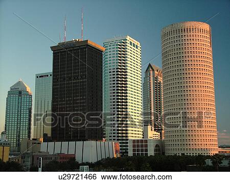 Tampa, FL, Florida, Tampa Bay, downtown skyline View Large Photo Image Stock Photograph - Tampa, FL, Florida, Tampa Bay, downtown skyline. Fotosearch