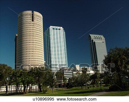 Tampa, FL, Florida, Tampa Bay, downtown skyline, from Plant Park View Large Photo Image Stock Photography - Tampa, FL, Florida, Tampa Bay, downtown skyline, from Plant Park. Fotosearch