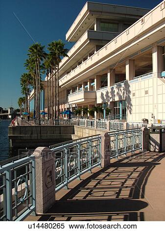 Tampa, FL, Florida, Tampa Bay, Convention Center View Large Photo Image Stock Photography - Tampa, FL, Florida, Tampa Bay, Convention Center. Fotosearch