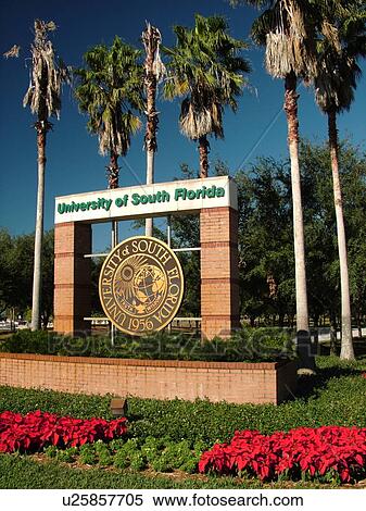 Stock Photography -  Tampa, FL, Florida, Tampa Bay, University of South Florida, entrance sign. Fotosearch