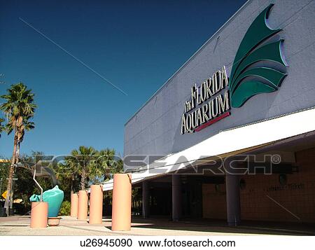 Tampa, FL, Florida, Tampa Bay, The Florida Aquarium View Large Photo Image Stock Image - Tampa, FL, Florida, Tampa Bay, The Florida Aquarium. Fotosearch