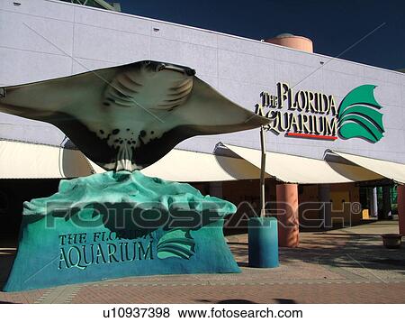 Tampa, FL, Florida, Tampa Bay, The Florida Aquarium, Stingray, sign View Large Photo Image Stock Photo - Tampa, FL, Florida, Tampa Bay, The Florida Aquarium, Stingray, sign. Fotosearch