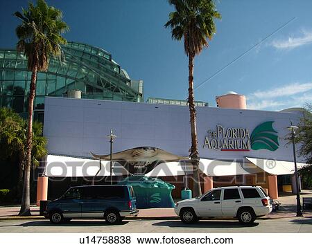 Tampa, FL, Florida, Tampa Bay, The Florida Aquarium View Large Photo Image Stock Photo - Tampa, FL, Florida, Tampa Bay, The Florida Aquarium. Fotosearch