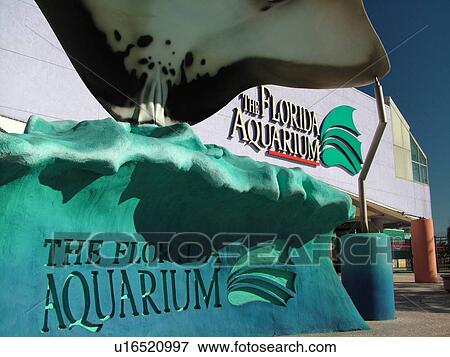 Tampa, FL, Florida, Tampa Bay, The Florida Aquarium, entrance, sign View Large Photo Image Stock Photo - Tampa, FL, Florida, Tampa Bay, The Florida Aquarium, entrance, sign. Fotosearch