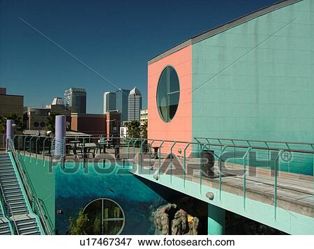 Tampa, FL, Florida, Tampa Bay, The Florida Aquarium View Large Photo Image Stock Photo - Tampa, FL, Florida, Tampa Bay, The Florida Aquarium. Fotosearch