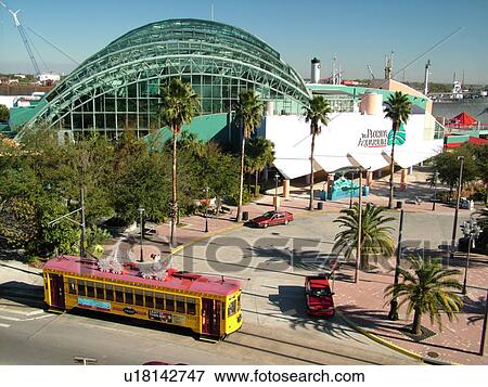 Tampa, FL, Florida, Tampa Bay, The Florida Aquarium, aerial, Tampa Bay Streetcar System, Teco Line, yellow streetcar View Large Photo Image Stock Photo - Tampa, FL, Florida, Tampa Bay, The Florida Aquarium, aerial, Tampa Bay Streetcar System, Teco Line, yellow streetcar. Fotosearch