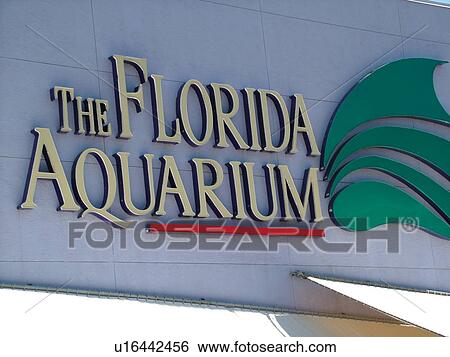 Tampa, FL, Florida, Tampa Bay, The Florida Aquarium, entrance sign View Large Photo Image Stock Photograph - Tampa, FL, Florida, Tampa Bay, The Florida Aquarium, entrance sign. Fotosearch