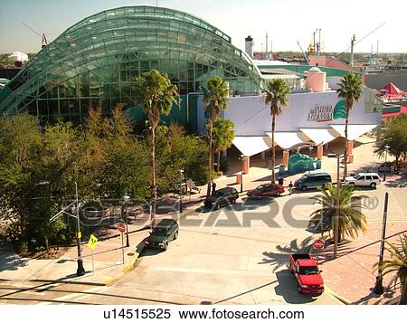 Stock Photography -  Tampa, FL, Florida, Tampa Bay, The Florida Aquarium. Fotosearch