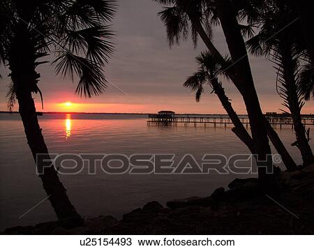 Titusville, Merritt Island, FL, Florida, Indian River, sunrise, Palm trees View Large Photo Image Stock Image - Titusville, Merritt Island, FL, Florida, Indian River, sunrise, Palm trees. Fotosearch
