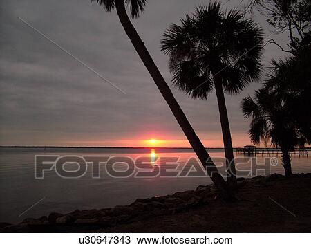 Titusville, Merritt Island, FL, Florida, Indian River, sunrise, Palm trees View Large Photo Image Stock Image - Titusville, Merritt Island, FL, Florida, Indian River, sunrise, Palm trees. Fotosearch