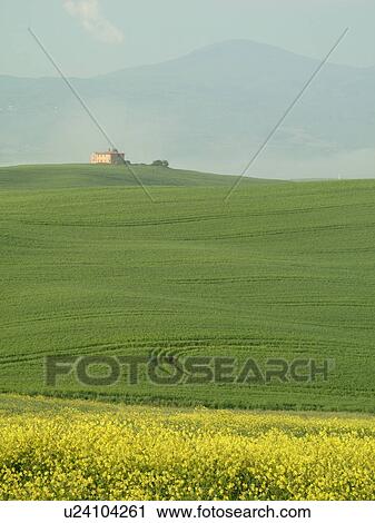 Stock Image -  Toscana, Tuscany, Italy, Pienza, Europe, Scenic view of a Tuscan home and the countryside of Tuscany in the fog in Pienza.. Fotosearch