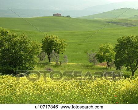Stock Photograph -  Toscana, Tuscany, Italy, Pienza, Europe, Scenic view of a Tuscan home and the countryside of Tuscany in Pienza.. Fotosearch