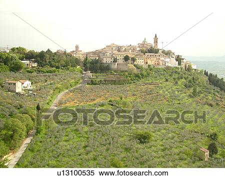 Stock Photography -  Trevi, Italy, Umbria, Europe, Scenic view of the hilltop medieval town of Trevi and the greenish-grey olive trees on the hillsides of Umbria... Fotosearch
