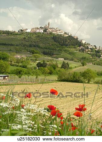 Trevi, Umbria, Italy, Europe, Scenic view of the hilltop medieval town of Trevi. View Large Photo Image Stock Image - Trevi, Umbria, Italy, Europe, Scenic view of the hilltop medieval town of Trevi.. Fotosearch