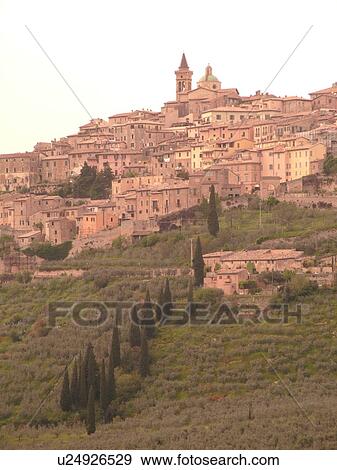 Stock Photo -  Trevi, Umbria, Italy, Europe, Scenic view of the hilltop medieval town of Trevi and the greenish-grey olive trees on the hillsides of Umbria... Fotosearch
