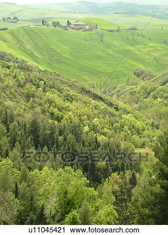 Stock Image -  Tuscany, Italy, near Volterra, Toscana, Europe, Scenic countryside of Tuscany near Volterra.. Fotosearch