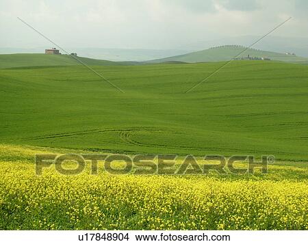 Tuscany, Italy, Pienza, Toscana, Europe, Scenic view of a Tuscan home and the countryside of Tuscany in Pienza. View Large Photo Image Picture - Tuscany, Italy, Pienza, Toscana, Europe, Scenic view of a Tuscan home and the countryside of Tuscany in Pienza.. Fotosearch