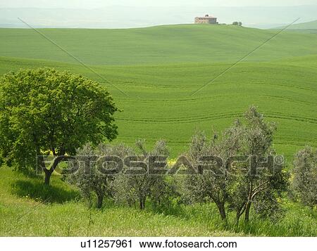Tuscany, Italy, Pienza, Toscana, Europe, Scenic view of a Tuscan home and the countryside of Tuscany in Pienza. View Large Photo Image Stock Image - Tuscany, Italy, Pienza, Toscana, Europe, Scenic view of a Tuscan home and the countryside of Tuscany in Pienza.. Fotosearch