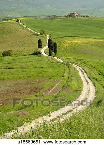 Stock Image -  Tuscany, Italy, Pienza, Toscana, Europe, Long dirt driveway leads to a Tuscan home in the countryside of Tuscany in Pienza.. Fotosearch