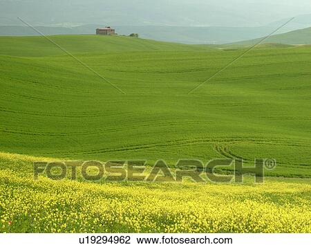 Stock Image -  Tuscany, Italy, Pienza, Toscana, Europe, Scenic view of a Tuscan home and the countryside of Tuscany in Pienza.. Fotosearch