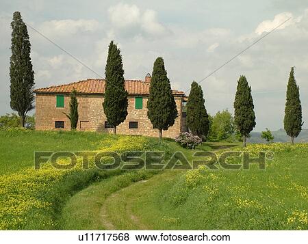 Stock Photo -  Tuscany, Italy, Pienza, Toscana, Europe, Tuscan home surrounded by cypress trees in the countryside of Tuscany in Pienza.. Fotosearch
