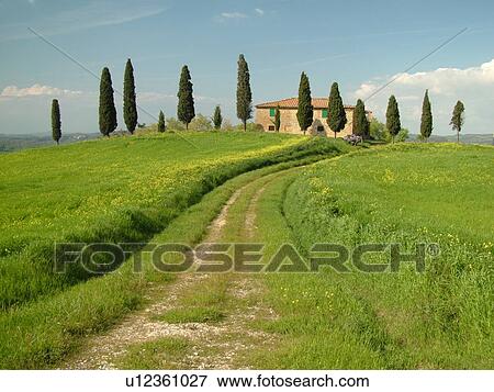 Tuscany, Italy, Pienza, Toscana, Europe, Tuscan home in the countryside of Tuscany in Pienza. View Large Photo Image Stock Photo - Tuscany, Italy, Pienza, Toscana, Europe, Tuscan home in the countryside of Tuscany in Pienza.. Fotosearch