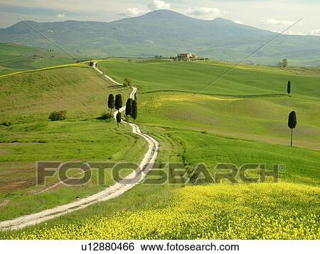 Tuscany, Italy, Pienza, Toscana, Europe, Long dirt driveway leads to a Tuscan home in the countryside of Tuscany in Pienza. View Large Photo Image Stock Photograph - Tuscany, Italy, Pienza, Toscana, Europe, Long dirt driveway leads to a Tuscan home in the countryside of Tuscany in Pienza.. Fotosearch